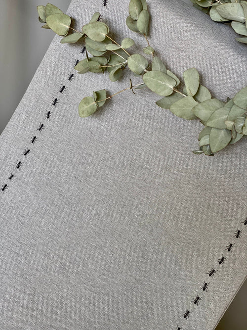 Camino Algodón Hormigas