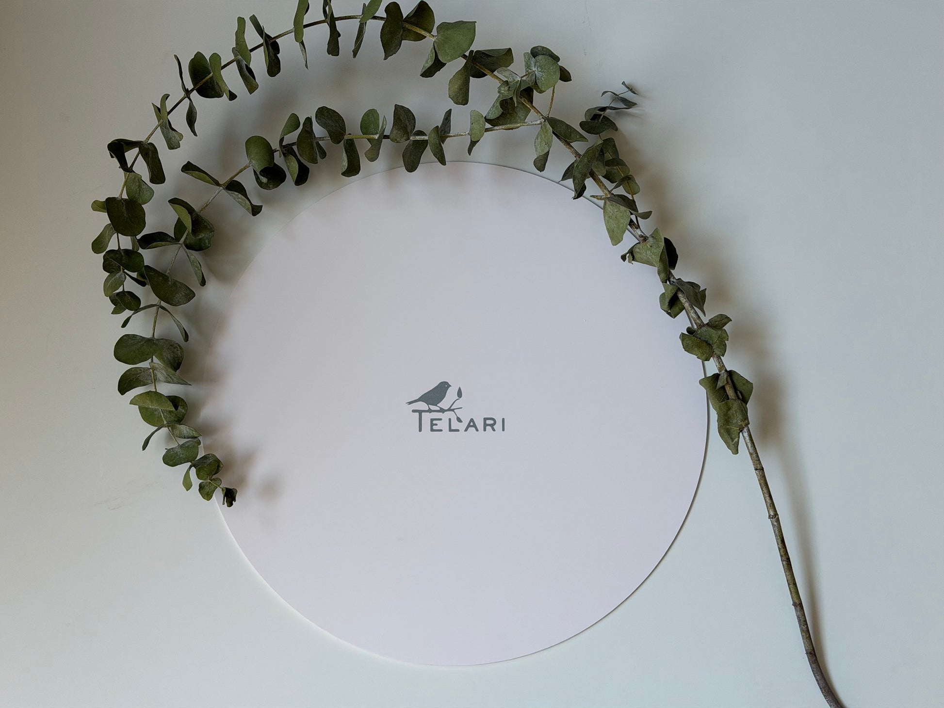 Plato Plastificado PVC (Por pieza)