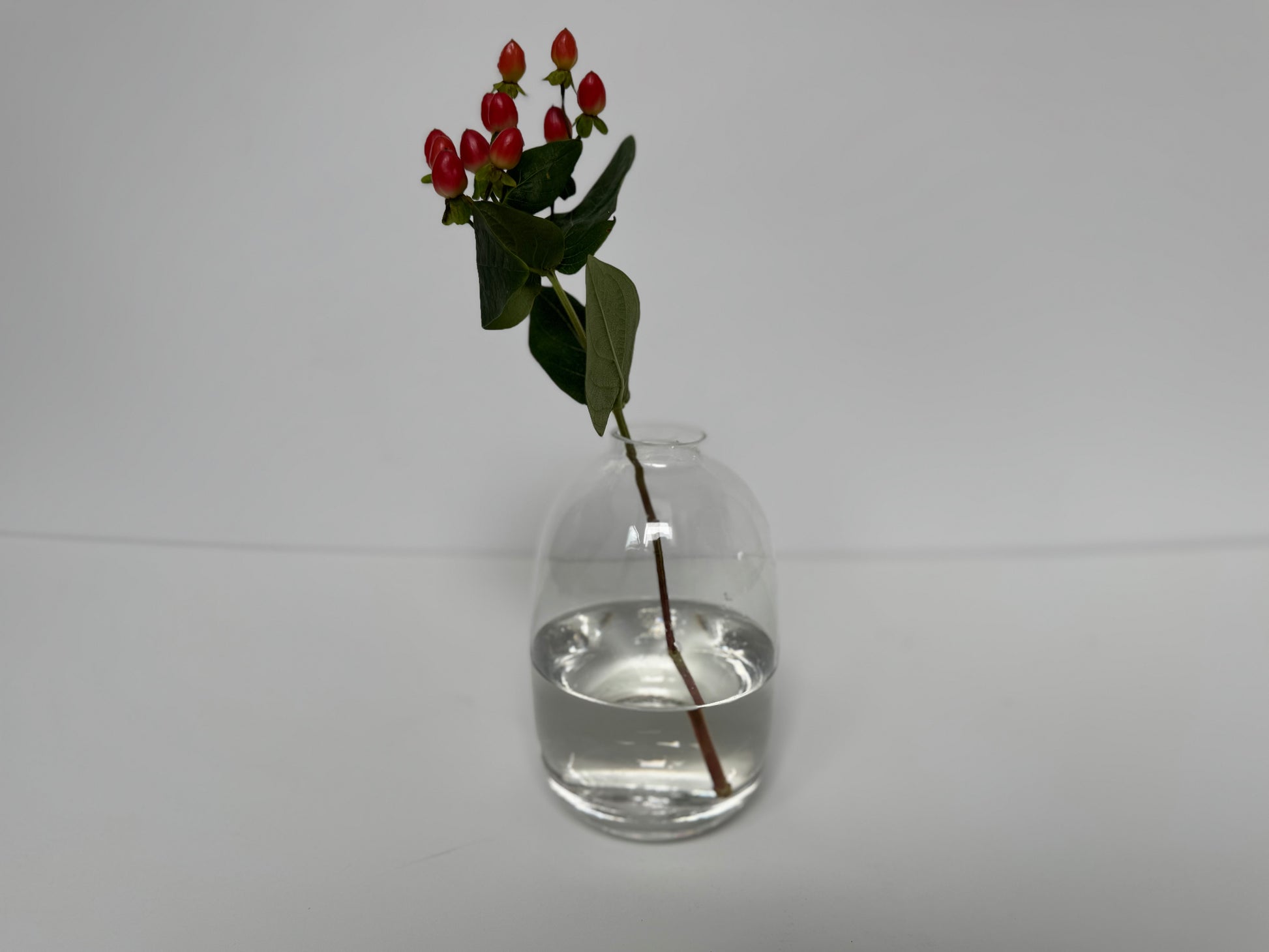 Florero Globo (1 pieza)