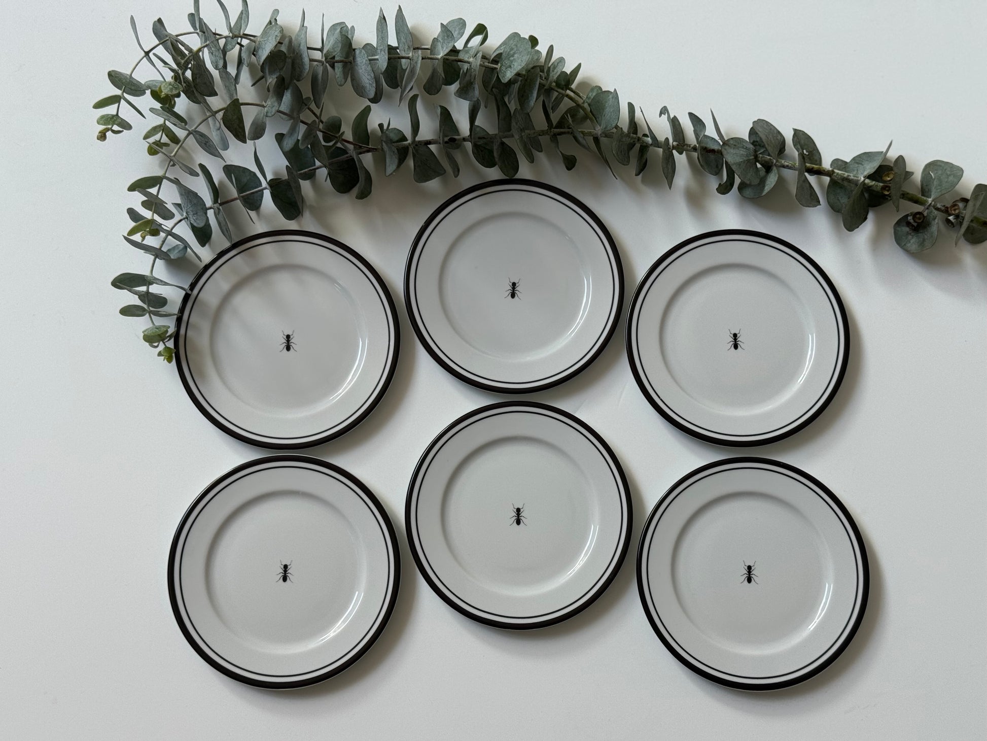 Plato Botana Hormiga (Set 6 piezas)