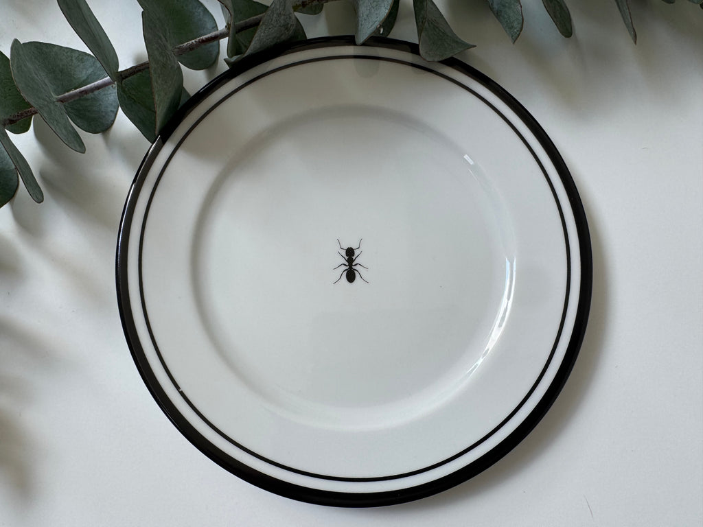 Plato Botana Hormiga (Set 6 piezas)