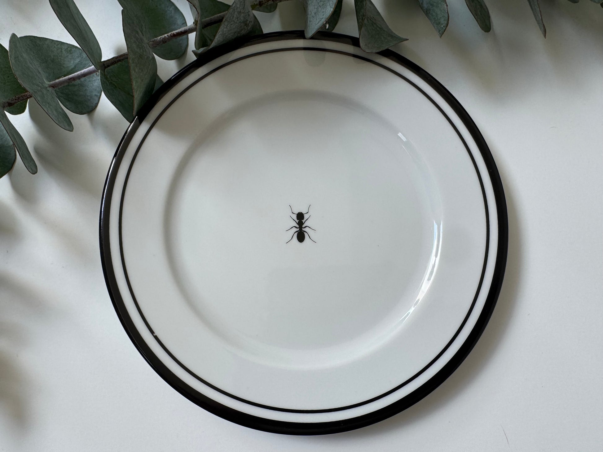 Plato Botana Hormiga (Set 6 piezas)